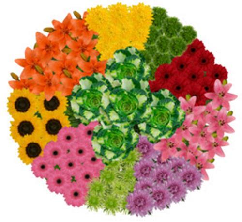 GARDEN OF THE ANDES SEASONAL COLORS COMBO BOX